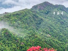 -广东惠东海龟国家级自然保护区