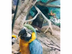 -福州罗源湾海洋世界旅游区