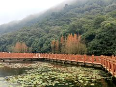 -广州市石门国家森林公园