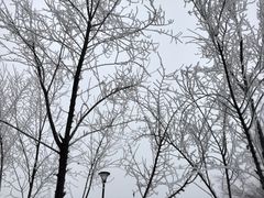 -水磨沟公园