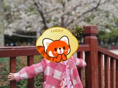 -玉山公园