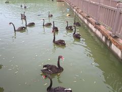-无锡动物园·太湖欢乐园