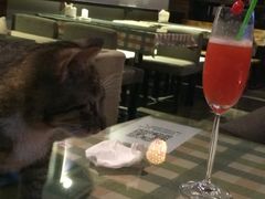 赢吧Bliss-赢吧Bliss音乐酒吧