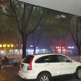 香樟树的落叶哗哗哗哗地被雨滴打了下来