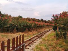 -武汉紫薇都市田园