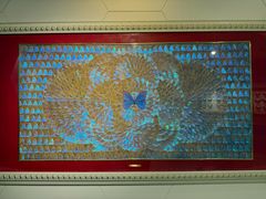 -上海昆虫博物馆