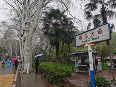 -武汉大学-樱园