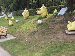 -南翔镇银翔湖公园