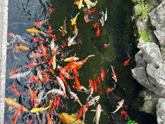 -西林禅寺