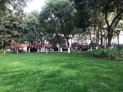 -常州古运河南大街文化旅游区-人民公园