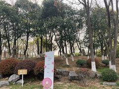-七桥瓮公园