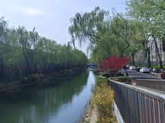 -大兴滨河森林公园