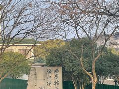 -观潮胜地公园