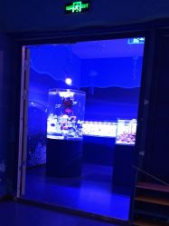 -七巧国萌宠乐园(龙湖天街店)