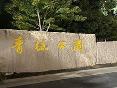 -青枫公园