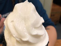 -無邪日式甜品(华润五彩城购物中心店)
