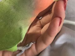 -TINY