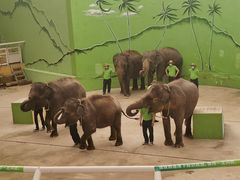 -大连森林动物园