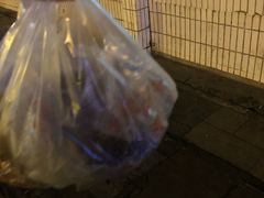-邓氏兔头