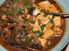 野生鱼钩炖豆腐-青桃餐厅