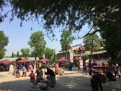-大槐树寻根祭祖园
