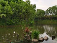 -新江湾城公园