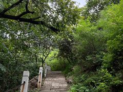 -北京凤凰岭