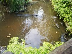 -海南热带野生动植物园