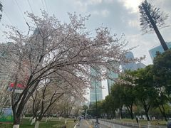 -西北湖绿化广场