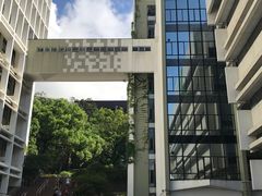 -香港大学