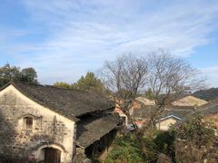 -桑洲油菜花景区
