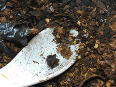 android_upload_pic-遵义虾子张六羊肉粉(金码头店)