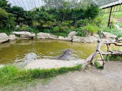 -上海野生动物园