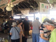 -马陆小张葡萄园农家乐