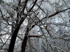 -大平台龙居瀑布旅游区