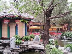 -白家大院·王府宫廷菜(苏州街店)