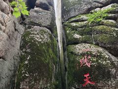 -汤旺河林海奇石景区
