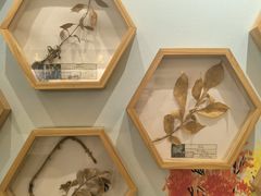 -上海群力中医门诊部(上海群力草药店)