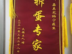 -嘉美宠物医院