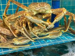 -本达人海鲜烧烤·朝鲜族风味(发展店)