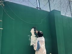 -吉林大学(南岭校区)