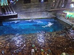 -威海华夏城景区