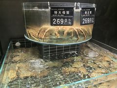 -浩运·海鲜青岛菜·海胆水饺(石老人店)