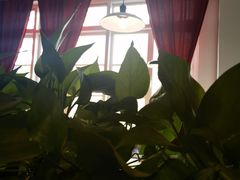 -雕刻时光咖啡馆(交大店)