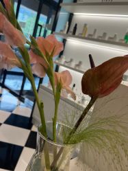 -SKINLALA美肤疗愈SPA