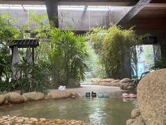 -三江森林温泉度假区