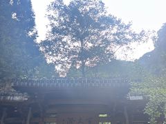 -刘伯温故里景区百丈漈