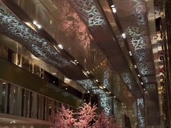 -金轩中餐厅 Jin Xuan(浦东丽思卡尔顿酒店)