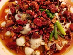 -莲苑中餐厅·Lotus Court(厦门马哥孛罗东方大酒店)