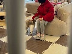 -成都仁和新城购物中心